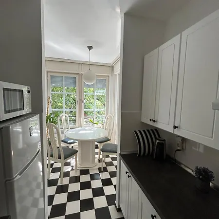 Apartment A Spacious And Stylish Apartment, Dorcol *